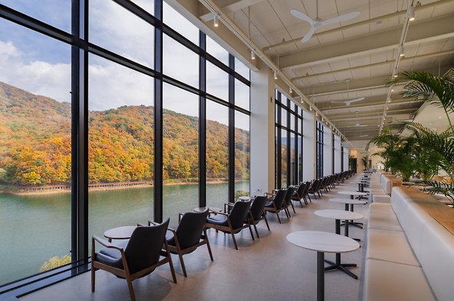 Korea's Cafes Are Moving to the Forest Now